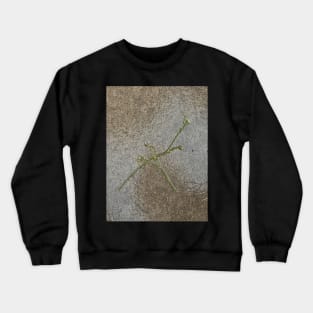 death of a flower Crewneck Sweatshirt